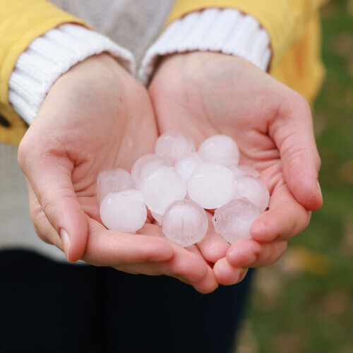 a handful of hail stones