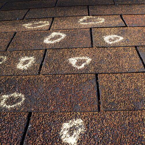 marked damage on a shingle roof